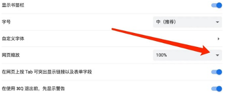 mac版谷歌浏览器怎样设置页面缩放比3