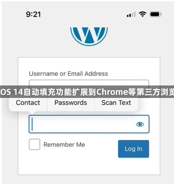 苹果iOS 17、macOS 14自动填充功能扩展到Chrome等第三方浏览器任意文本框位置1