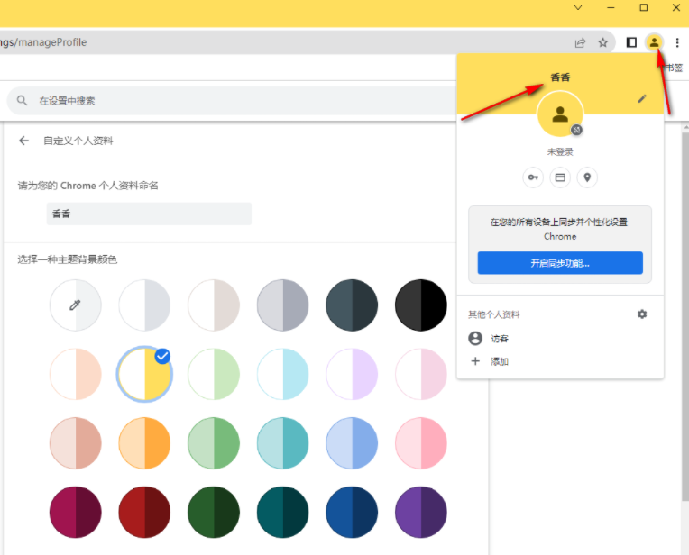 chrome浏览器Canary版6