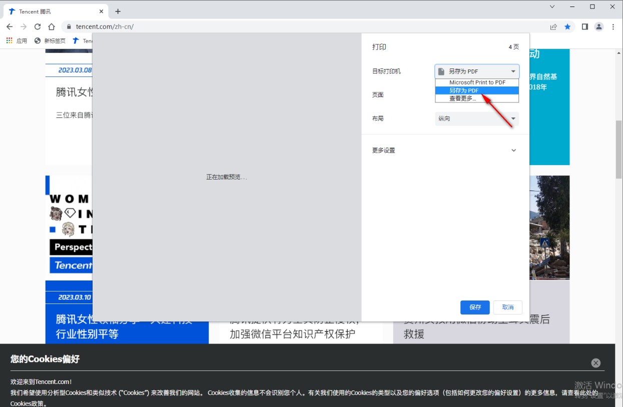 chrome浏览器高级付费版4