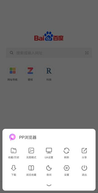 pp浏览器3