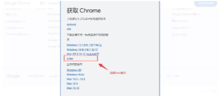 linux系统怎么安装谷歌浏览器4