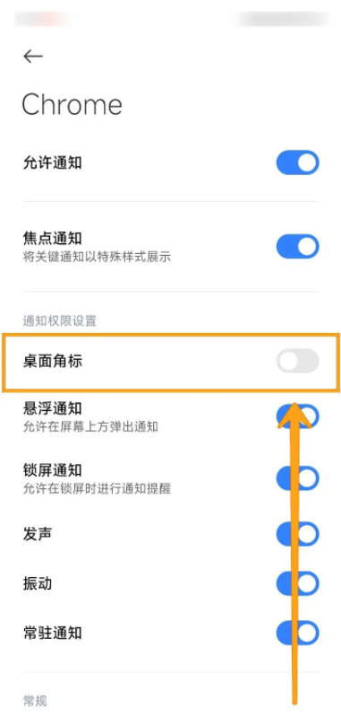 手机谷歌浏览器如何开启桌面角标通知4