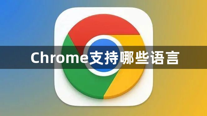 Chrome支持哪些语言1