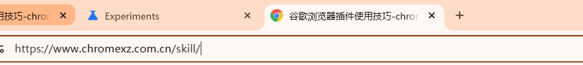 谷歌浏览器的地址栏如何显示完整网址4