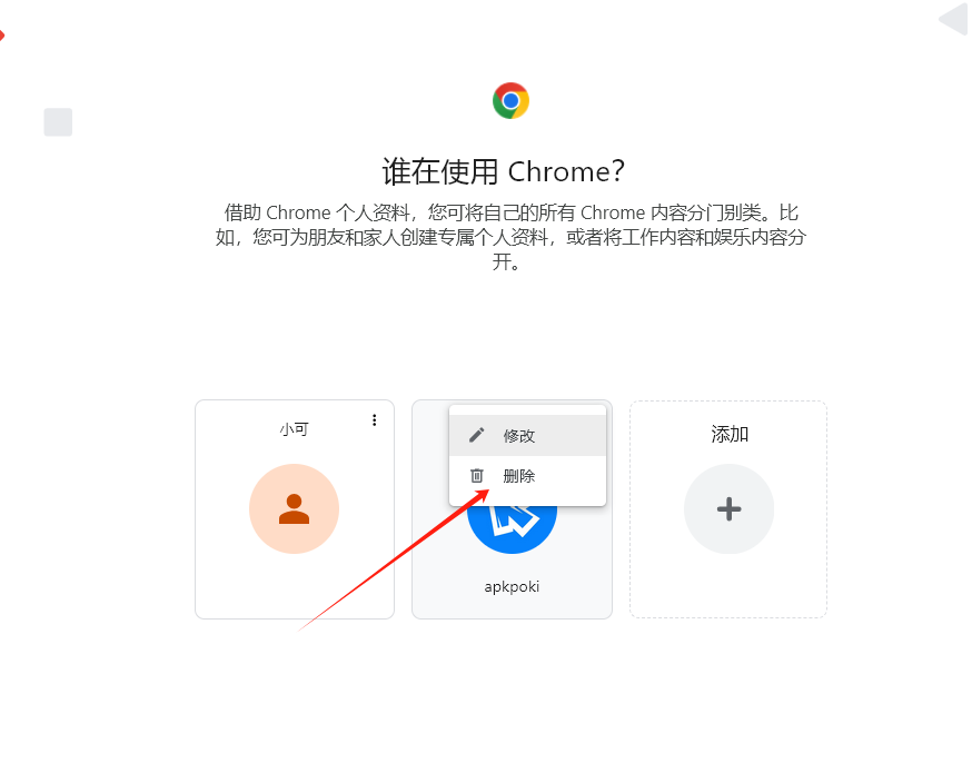 Chrome浏览器如何管理多个用户账户登录信息4