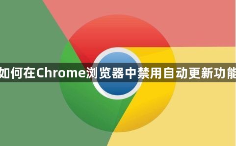 如何在Chrome浏览器中禁用自动更新功能1