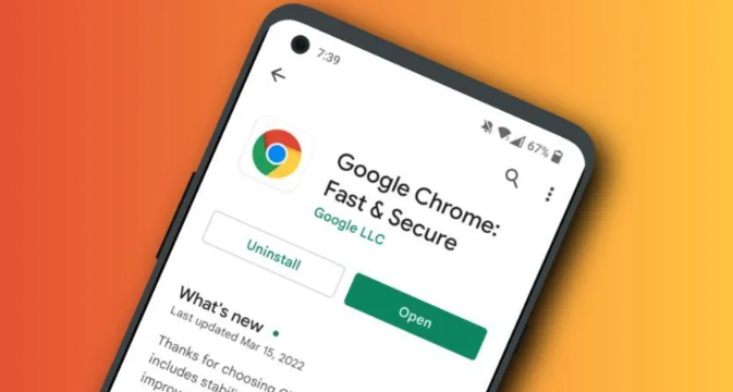 Google浏览器官网下载速度受限的解决办法1