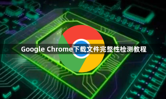 Google Chrome下载文件完整性检测教程1