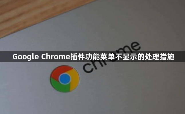 Google Chrome插件功能菜单不显示的处理措施1