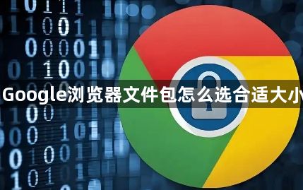 Google浏览器文件包怎么选合适大小1