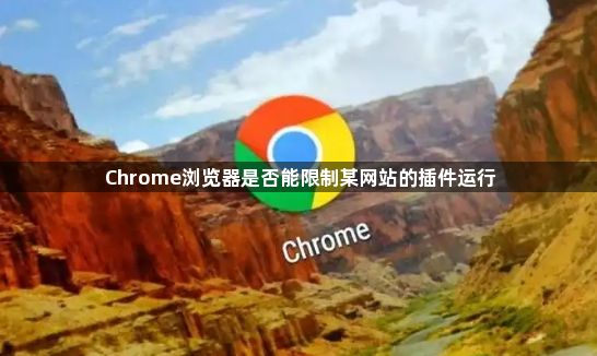 Chrome浏览器是否能限制某网站的插件运行1