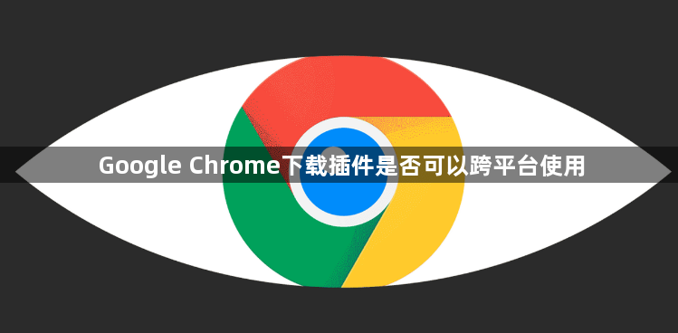 Google Chrome下载插件是否可以跨平台使用1