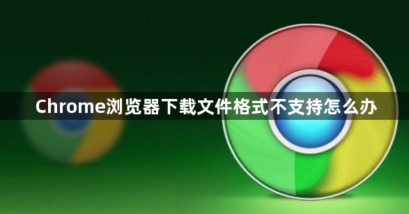 Chrome浏览器下载文件格式不支持怎么办1