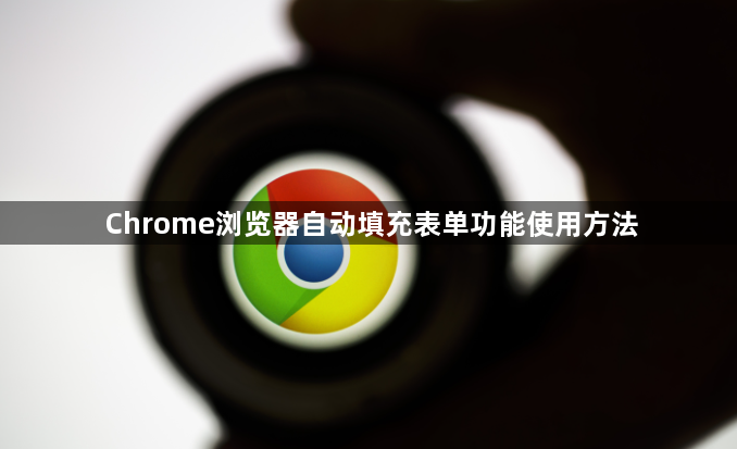 Chrome浏览器自动填充表单功能使用方法1