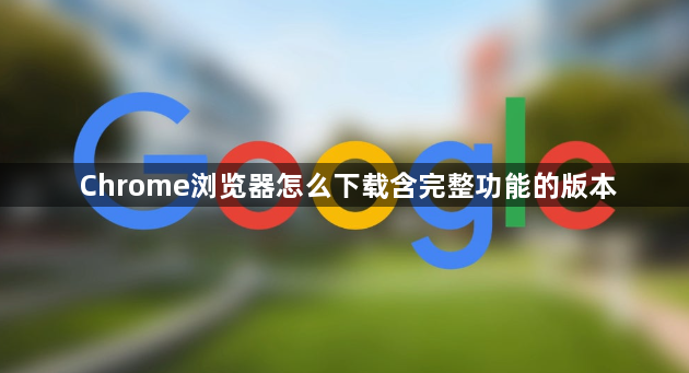 Chrome浏览器怎么下载含完整功能的版本1