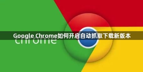 Google Chrome如何开启自动抓取下载新版本1
