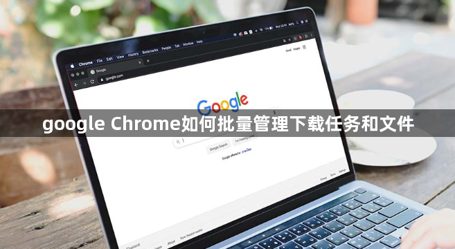 google Chrome如何批量管理下载任务和文件1