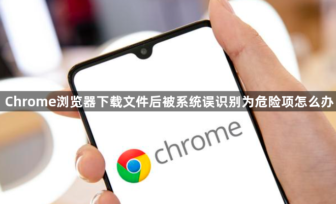 Chrome浏览器下载文件后被系统误识别为危险项怎么办1