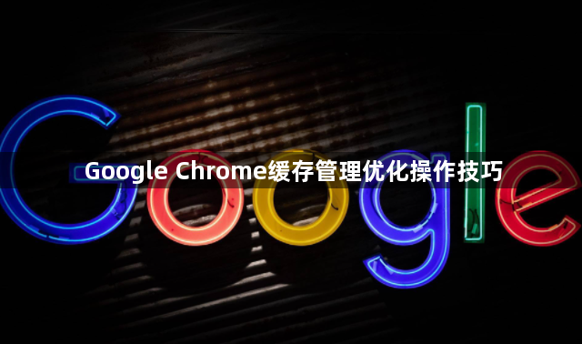 Google Chrome缓存管理优化操作技巧1