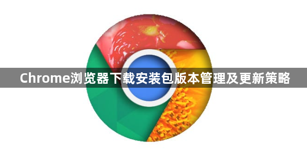 Chrome浏览器下载安装包版本管理及更新策略1