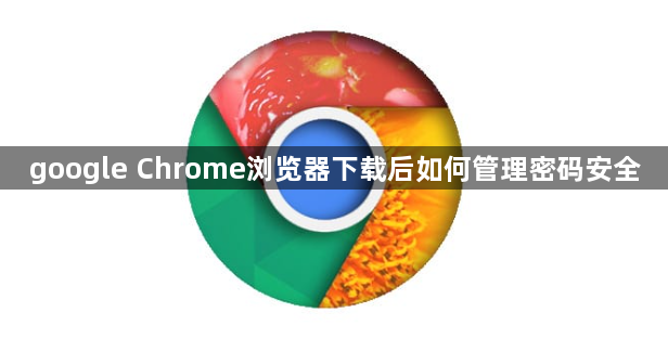 google Chrome浏览器下载后如何管理密码安全1