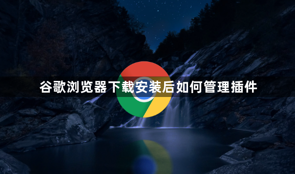 谷歌浏览器下载安装后如何管理插件1