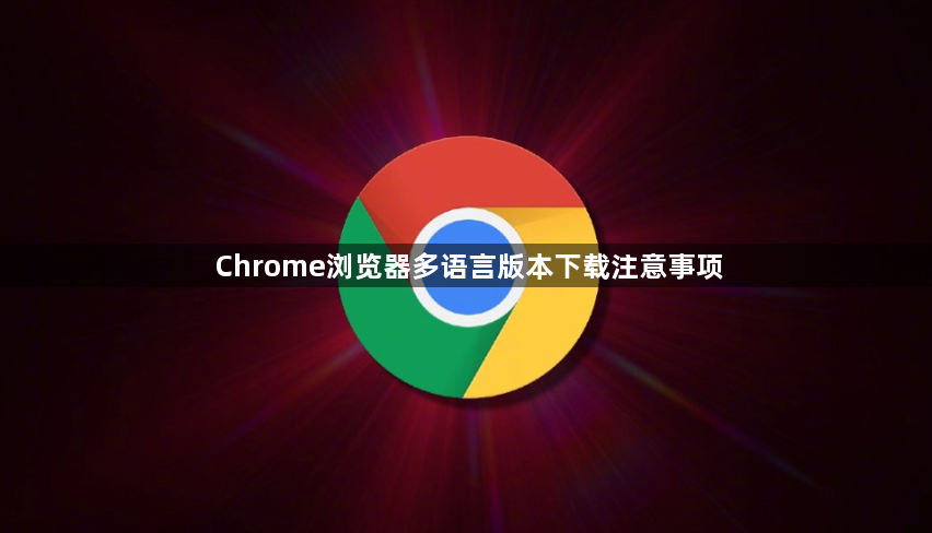 Chrome浏览器多语言版本下载注意事项1