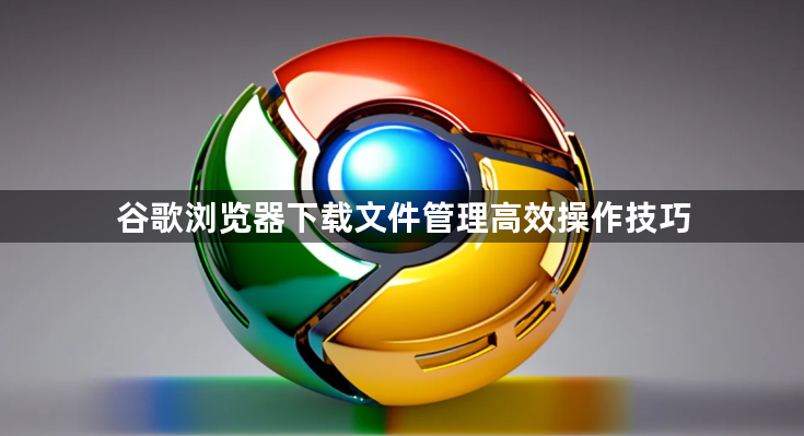 谷歌浏览器下载文件管理高效操作技巧1
