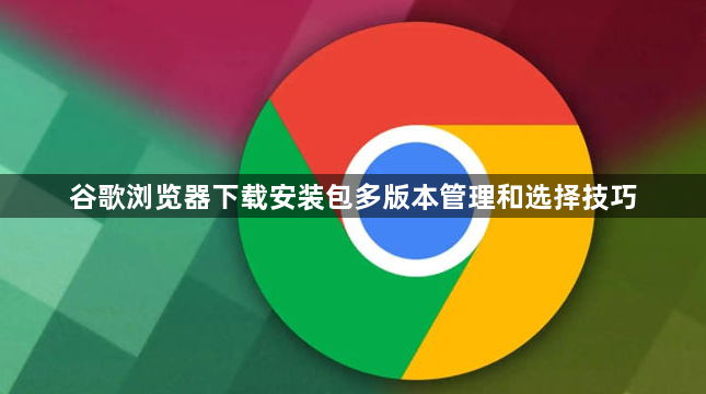 谷歌浏览器下载安装包多版本管理和选择技巧1
