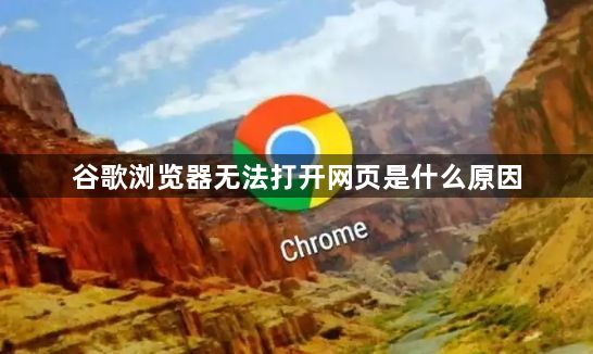 谷歌浏览器无法打开网页是什么原因1