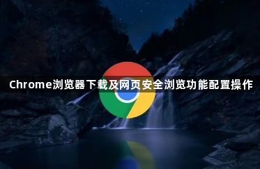 Chrome浏览器下载及网页安全浏览功能配置操作1