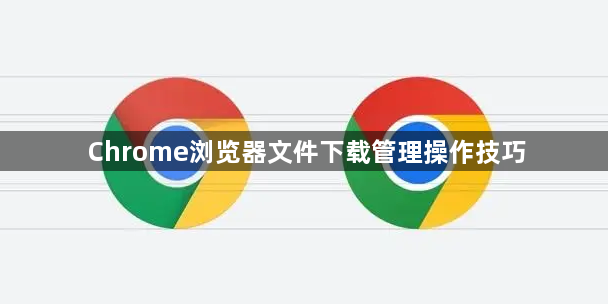 Chrome浏览器文件下载管理操作技巧1