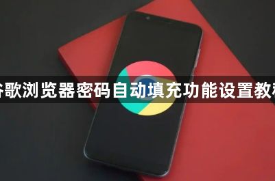 谷歌浏览器密码自动填充功能设置教程1