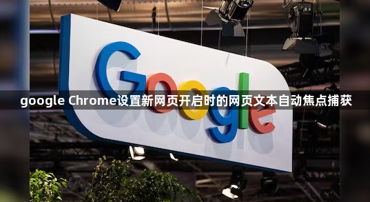 google Chrome设置新网页开启时的网页文本自动焦点捕获1
